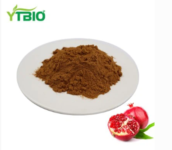 Bulk Pomegranate Extract